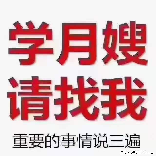 为什么要学习月嫂，育婴师？ - 其他广告 - 广告专区 - 内江分类信息 - 内江28生活网 scnj.28life.com