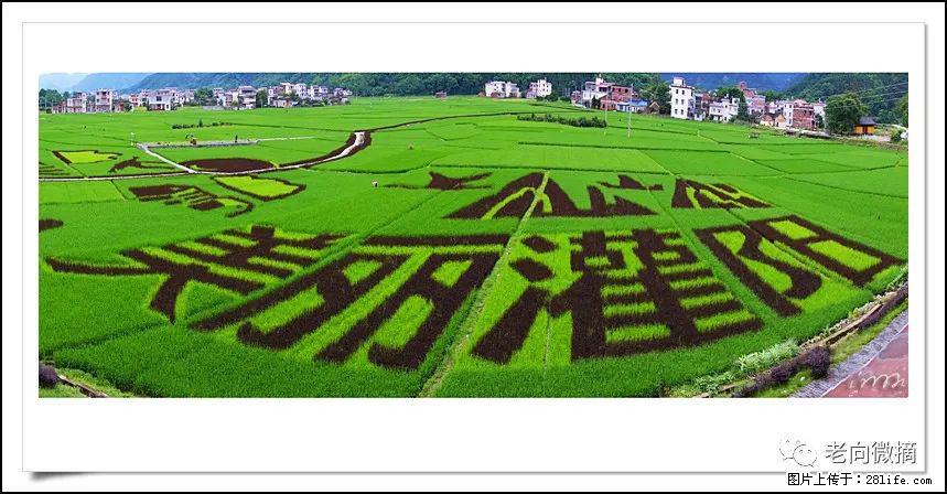 【春天,广西桂林灌阳县向您发出邀请!】开篇 - 游山玩水 - 内江生活社区 - 内江28生活网 scnj.28life.com