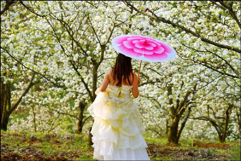 【春天,广西桂林灌阳县向您发出邀请!】我们在灌阳看梨花 - 游山玩水 - 内江生活社区 - 内江28生活网 scnj.28life.com