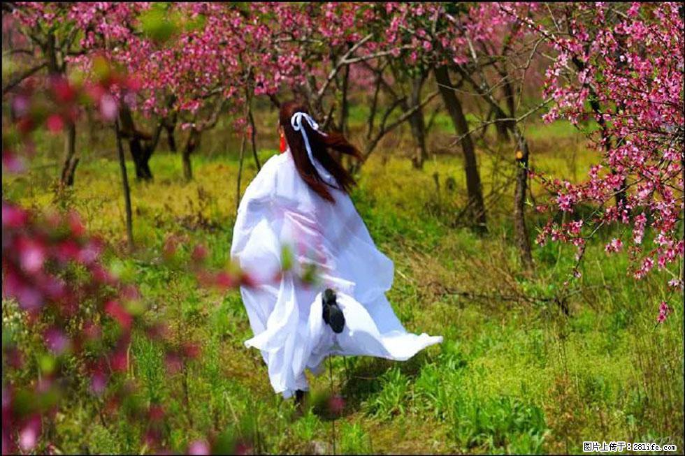 【春天,广西桂林灌阳县向您发出邀请!】官庄村有个醉美的桃花园 - 游山玩水 - 内江生活社区 - 内江28生活网 scnj.28life.com