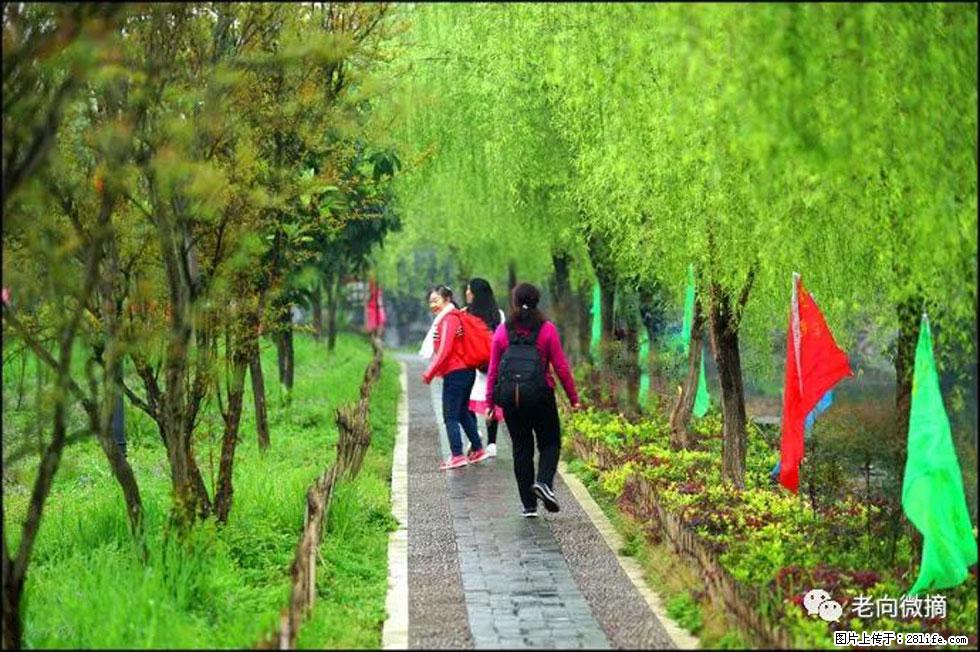 【春天,广西桂林灌阳县向您发出邀请!】江口老街又逢春 - 游山玩水 - 内江生活社区 - 内江28生活网 scnj.28life.com