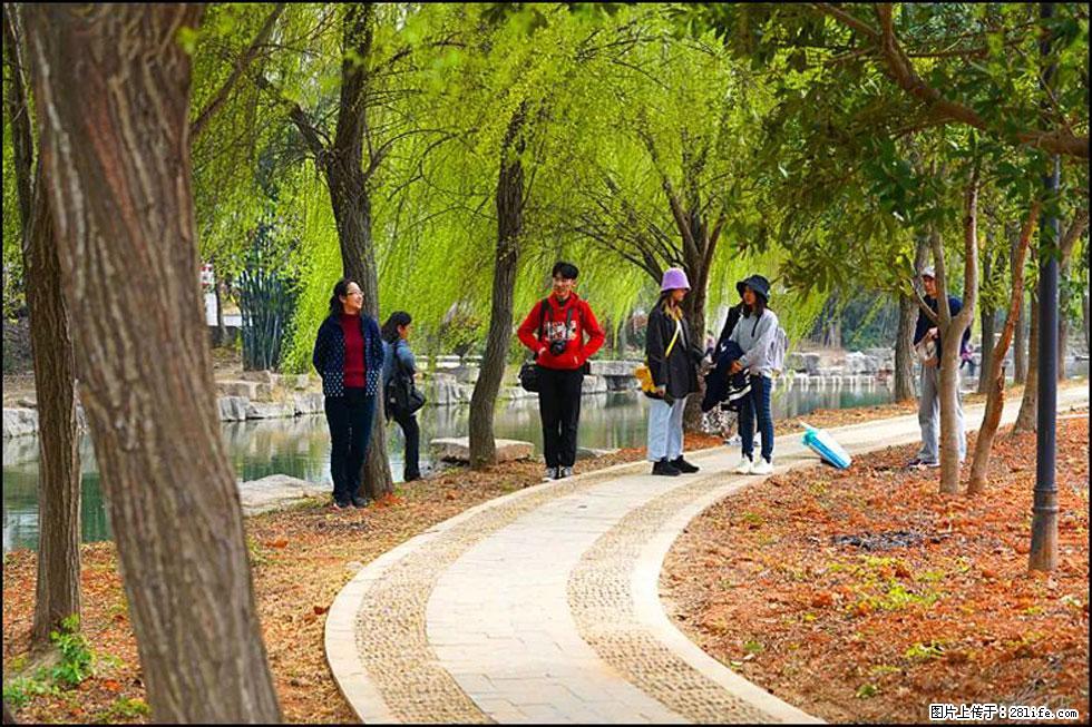 【春天,广西桂林灌阳县向您发出邀请!】江口老街又逢春 - 游山玩水 - 内江生活社区 - 内江28生活网 scnj.28life.com