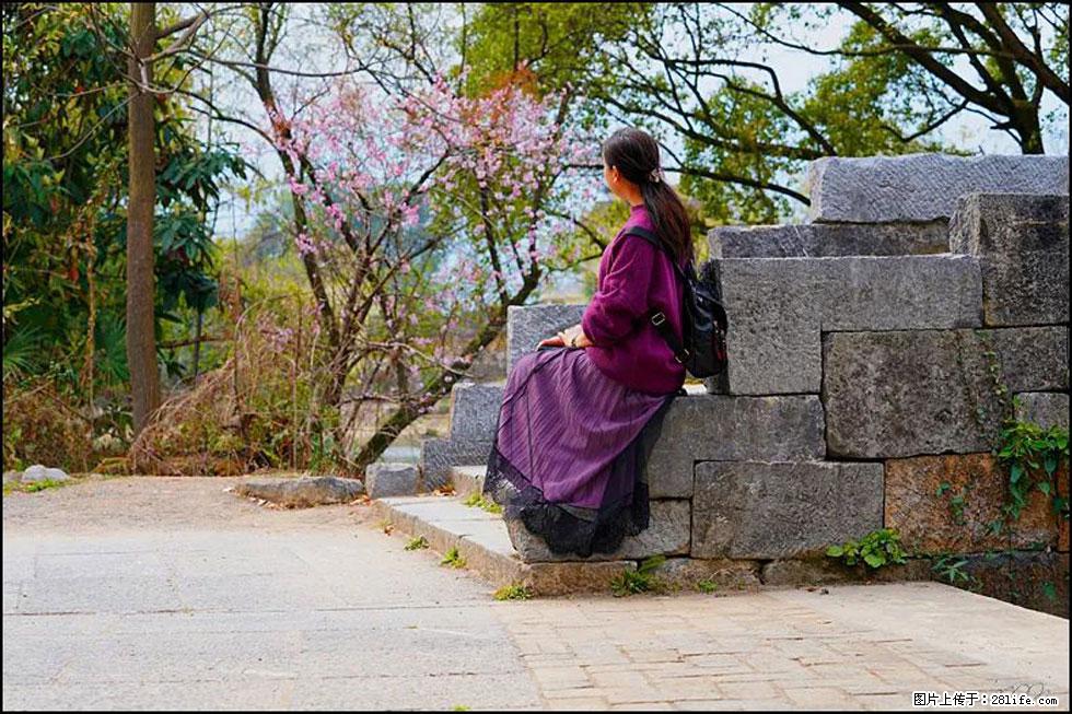 【春天,广西桂林灌阳县向您发出邀请!】江口老街又逢春 - 游山玩水 - 内江生活社区 - 内江28生活网 scnj.28life.com