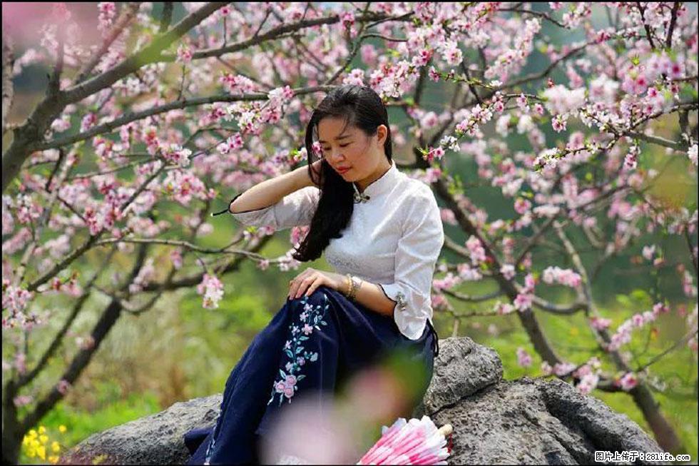 【春天,广西桂林灌阳县向您发出邀请!】望月岭上桃花开 - 游山玩水 - 内江生活社区 - 内江28生活网 scnj.28life.com