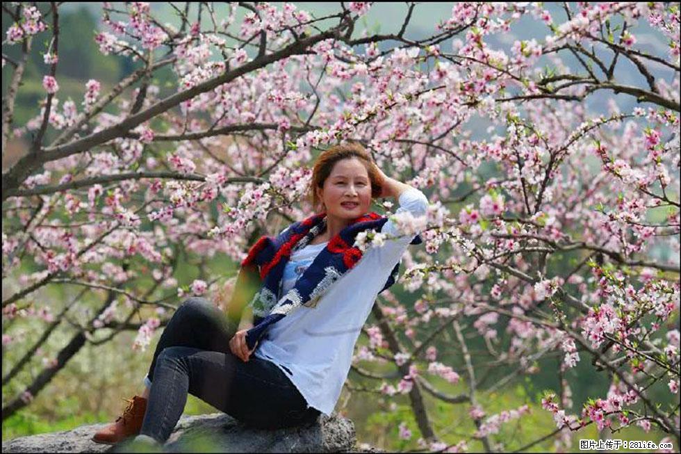 【春天,广西桂林灌阳县向您发出邀请!】望月岭上桃花开 - 游山玩水 - 内江生活社区 - 内江28生活网 scnj.28life.com