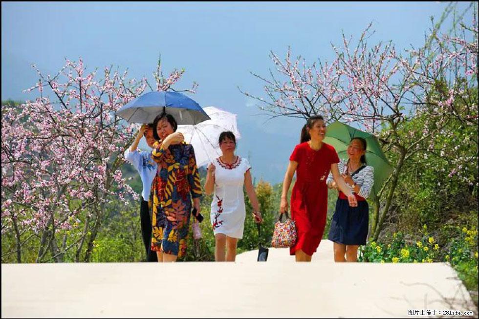 【春天,广西桂林灌阳县向您发出邀请!】望月岭上桃花开 - 游山玩水 - 内江生活社区 - 内江28生活网 scnj.28life.com