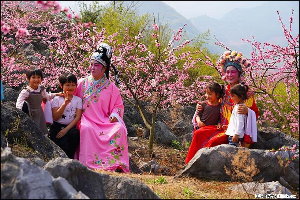 【春天,广西桂林灌阳县向您发出邀请!】望月岭上桃花开 - 游山玩水 - 内江生活社区 - 内江28生活网 scnj.28life.com