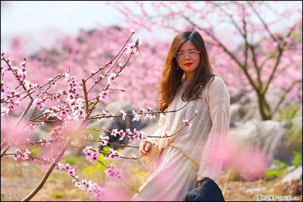 【春天,广西桂林灌阳县向您发出邀请!】望月岭上桃花开 - 游山玩水 - 内江生活社区 - 内江28生活网 scnj.28life.com