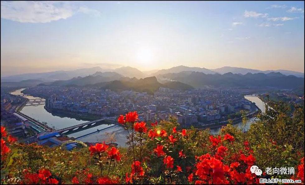 【春天,广西桂林灌阳县向您发出邀请!】登麒麟山,相约映山红 - 游山玩水 - 内江生活社区 - 内江28生活网 scnj.28life.com