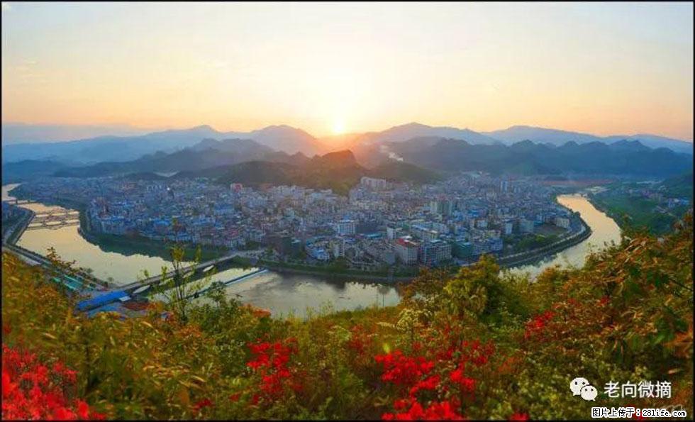 【春天,广西桂林灌阳县向您发出邀请!】登麒麟山,相约映山红 - 游山玩水 - 内江生活社区 - 内江28生活网 scnj.28life.com