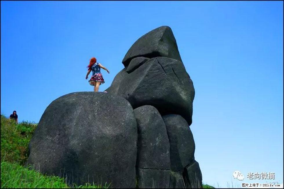 【春天,广西桂林灌阳县向您发出邀请!】宝盖山上映山红 - 游山玩水 - 内江生活社区 - 内江28生活网 scnj.28life.com