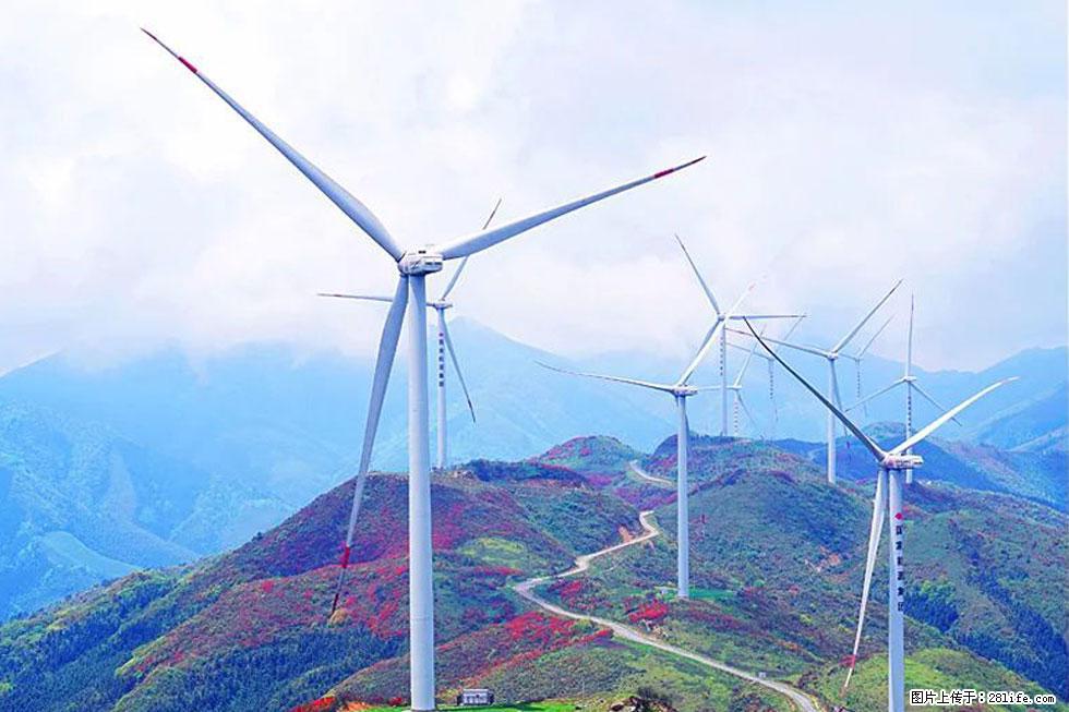 【春天,广西桂林灌阳县向您发出邀请!】春木界上映山红 - 游山玩水 - 内江生活社区 - 内江28生活网 scnj.28life.com