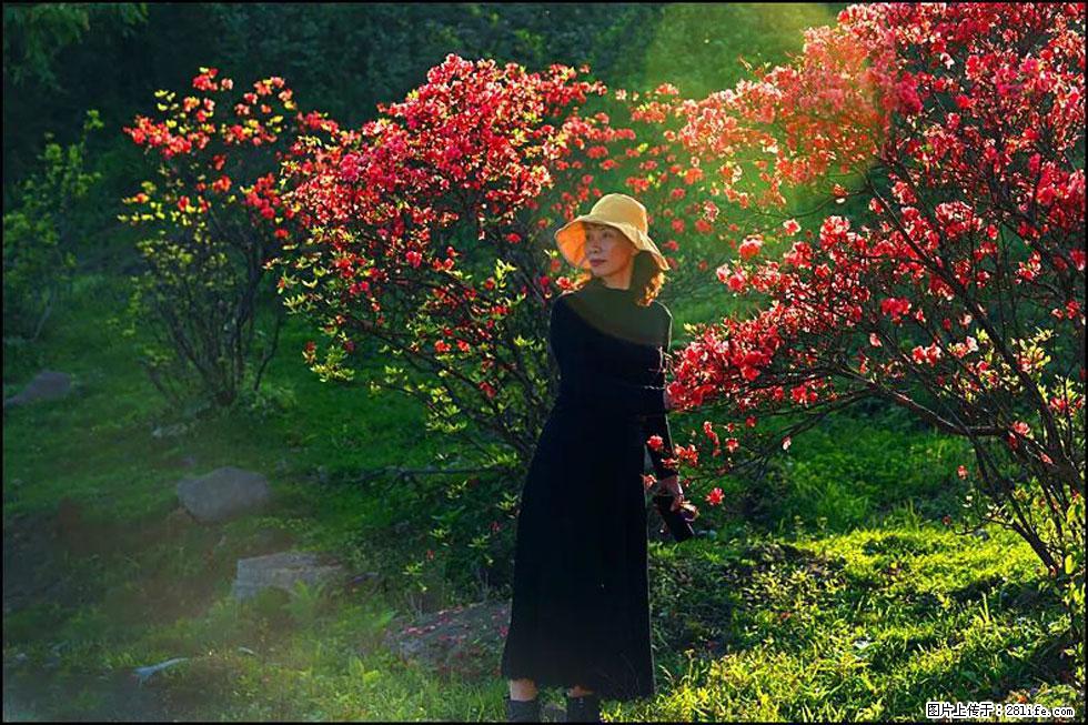 【春天,广西桂林灌阳县向您发出邀请!】春木界上映山红 - 游山玩水 - 内江生活社区 - 内江28生活网 scnj.28life.com