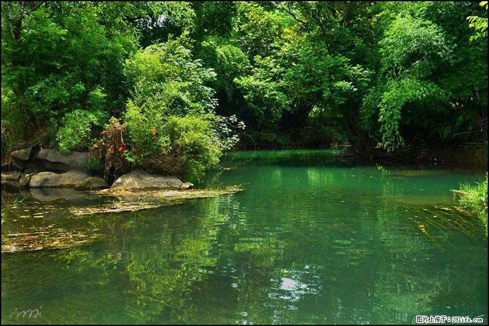 【春天,广西桂林灌阳县向您发出邀请!】如梦似幻莲溪庐 - 游山玩水 - 内江生活社区 - 内江28生活网 scnj.28life.com