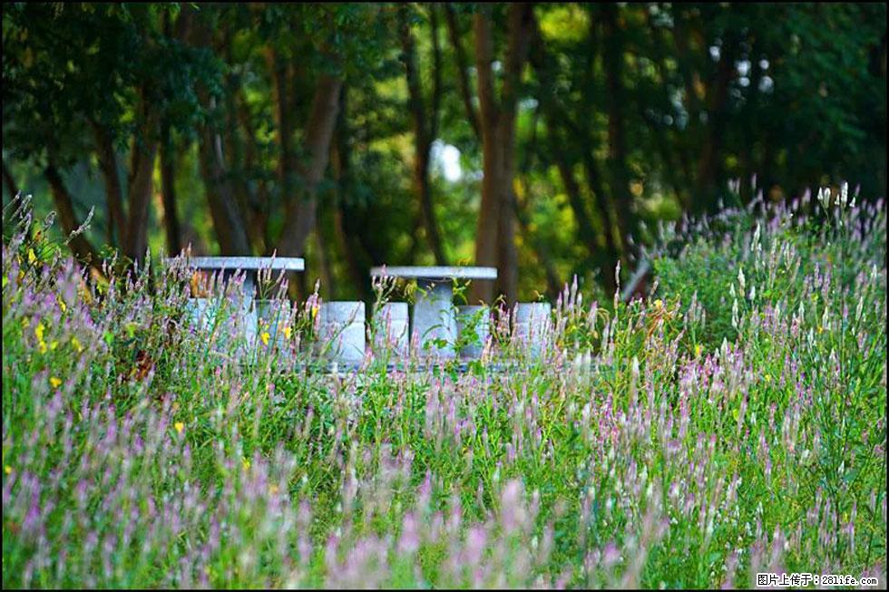 【春天,广西桂林灌阳县向您发出邀请!】熊家寨湿地公园 - 游山玩水 - 内江生活社区 - 内江28生活网 scnj.28life.com