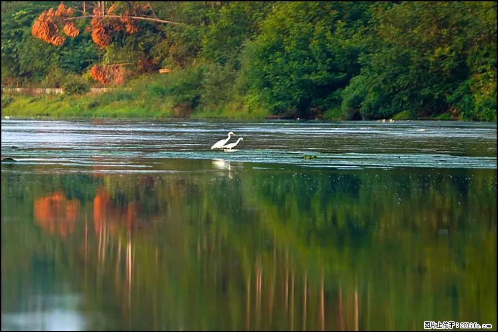 【春天,广西桂林灌阳县向您发出邀请!】熊家寨湿地公园 - 游山玩水 - 内江生活社区 - 内江28生活网 scnj.28life.com