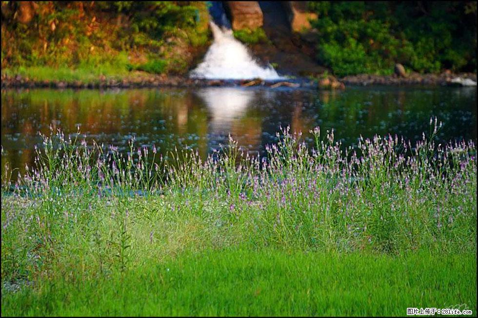 【春天,广西桂林灌阳县向您发出邀请!】熊家寨湿地公园 - 游山玩水 - 内江生活社区 - 内江28生活网 scnj.28life.com