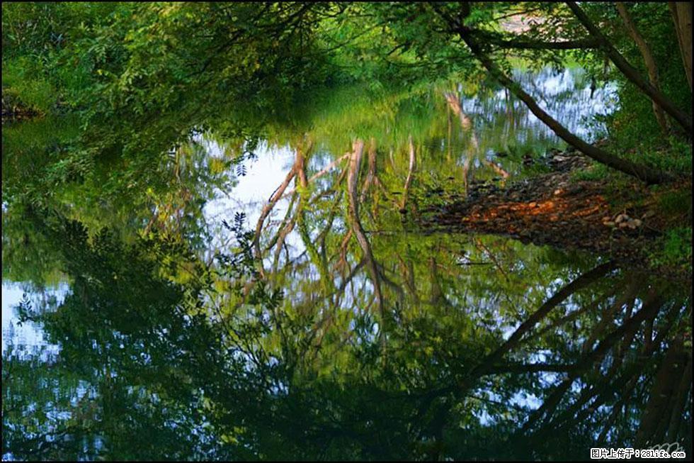 【春天,广西桂林灌阳县向您发出邀请!】熊家寨湿地公园 - 游山玩水 - 内江生活社区 - 内江28生活网 scnj.28life.com