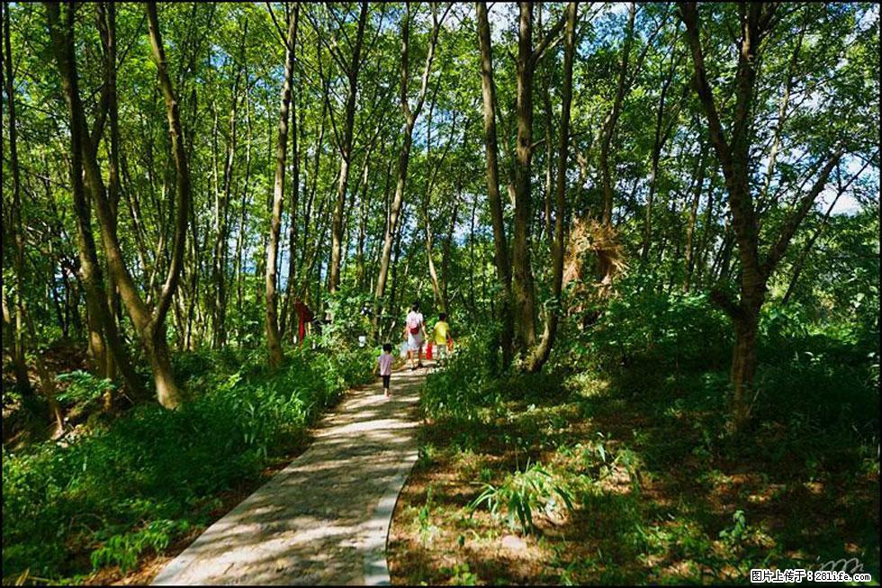 【春天,广西桂林灌阳县向您发出邀请!】熊家寨湿地公园 - 游山玩水 - 内江生活社区 - 内江28生活网 scnj.28life.com