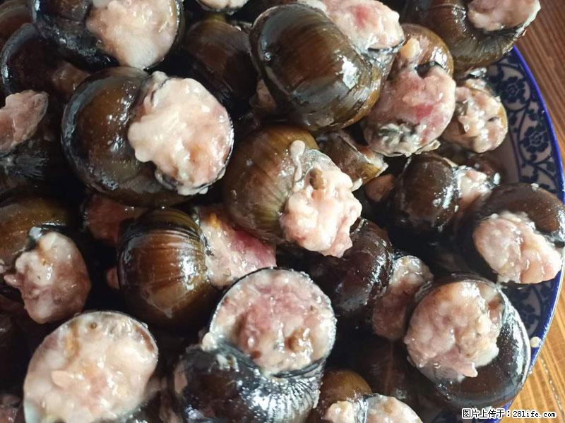 (舌尖上的乡村)灌阳:让人口齿留香的田螺酿 - 2023年07月31日 桂林日报第6版刊发 - 美食天地 - 内江生活社区 - 内江28生活网 scnj.28life.com