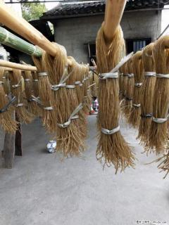 【灌阳正宗红薯粉】美女家里自己做的，干净卫生，假一赔十，价格合理，抢购电话：13737312895 - 内江28生活网 scnj.28life.com