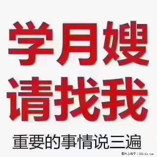 为什么要学习月嫂，育婴师？ - 内江28生活网 scnj.28life.com
