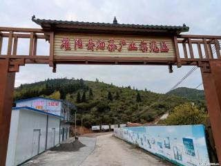 【灌阳县油茶产业示范区】一个有着充实的精神生活的人，对待身外之物自会有一种淡泊的态度 - 内江28生活网 scnj.28life.com