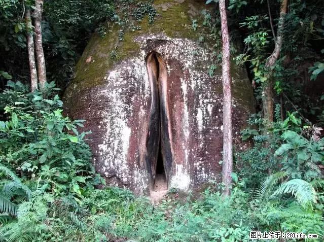 让人脸红的流氓景点,大自然真的有点色 - 灌水专区 - 内江生活社区 - 内江28生活网 scnj.28life.com