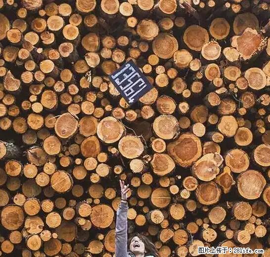 辞掉工作周游世界?现在他们在洗厕所…… - 游山玩水 - 内江生活社区 - 内江28生活网 scnj.28life.com