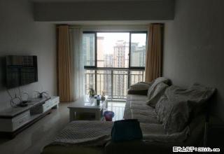 万达广场背后 五星小学旁边 邦泰博士公馆 拎包入住钥匙在手 - 内江28生活网 scnj.28life.com