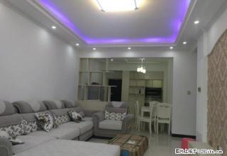 万达旁五星小学对面 精装房 看房方便诚心出租 采光极好 - 内江28生活网 scnj.28life.com