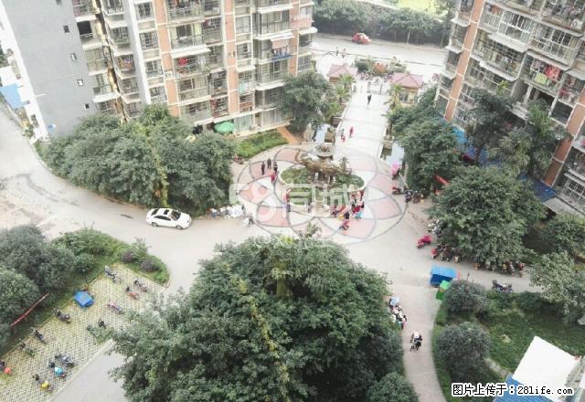 宝森兴城 2室2厅1卫 - 房屋出租 - 房屋租售 - 内江分类信息 - 内江28生活网 scnj.28life.com