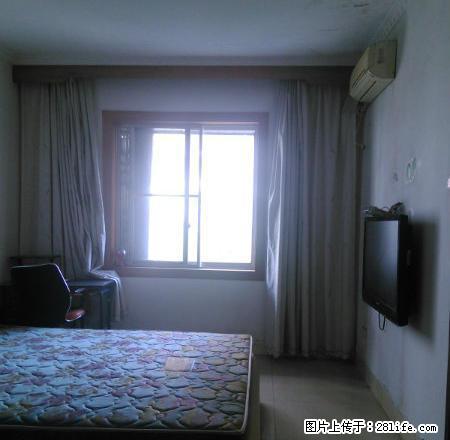 精装设施全齐拎包入住 - 房屋出租 - 房屋租售 - 内江分类信息 - 内江28生活网 scnj.28life.com