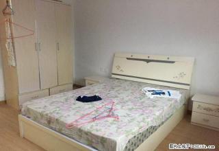 十小揽景苑附近 新华路一室一厅精装 全套家电带花园 急租 - 内江28生活网 scnj.28life.com