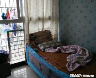 万达附近 精装三房 家电齐全 房东外出 诚租 看房方便 - 内江28生活网 scnj.28life.com