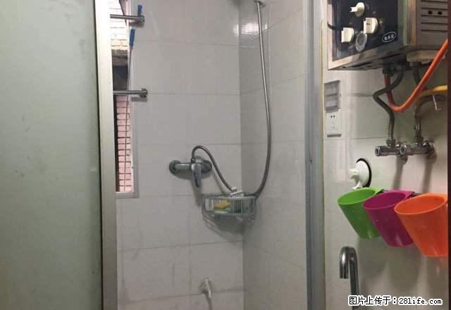 齐力堂医药连锁NO.24 1室1厅1卫 - 房屋出租 - 房屋租售 - 内江分类信息 - 内江28生活网 scnj.28life.com