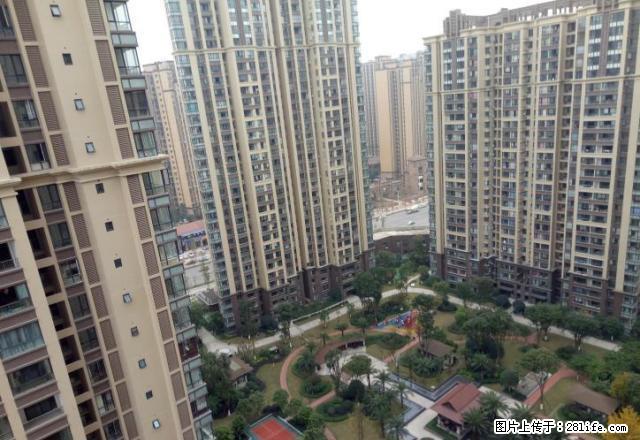 东兴区汉安大道中心路段,邦泰国际公馆,新小区环境优美。 - 房屋出租 - 房屋租售 - 内江分类信息 - 内江28生活网 scnj.28life.com