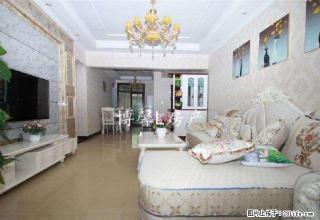 东兴区 花鸟市场 豪装来袭！ - 内江28生活网 scnj.28life.com