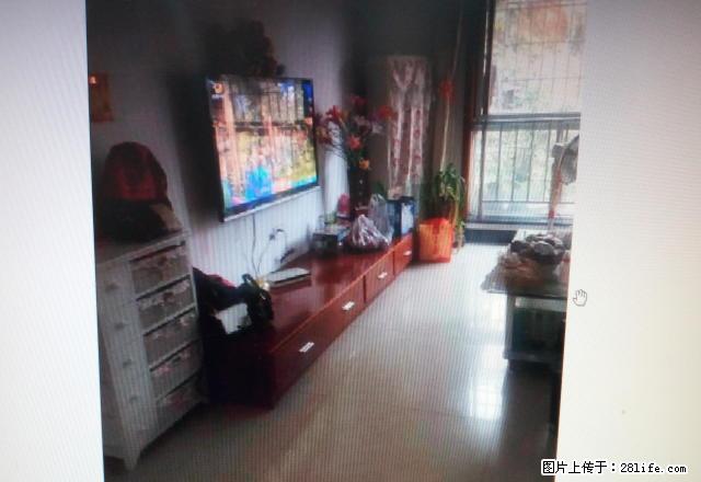 精装全配 户型好 楼层好 拎包入住 西林中学旁 周边生活方便 - 房屋出租 - 房屋租售 - 内江分类信息 - 内江28生活网 scnj.28life.com