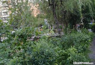 武陵大道。县车队。明厨明卫 - 内江28生活网 scnj.28life.com