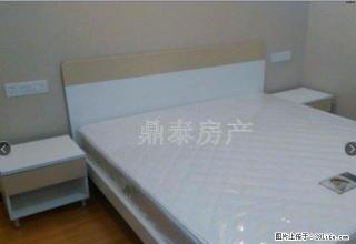 现有十多套万达公寓出租 30~1000平米 可整租分租 急租 - 内江28生活网 scnj.28life.com