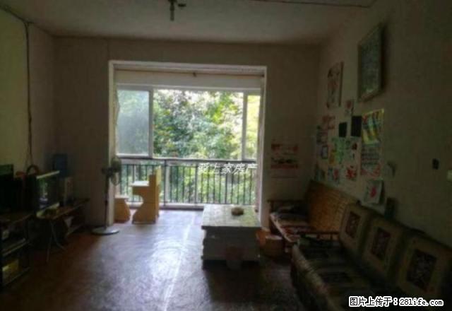 金山城好房急租 3室价格便宜只需1200 钥匙在手,看房方便 - 房屋出租 - 房屋租售 - 内江分类信息 - 内江28生活网 scnj.28life.com