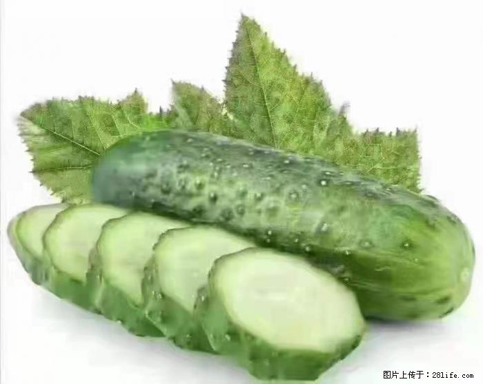 【生活小常识】吃黄瓜的好处 - 生活百科 - 内江生活社区 - 内江28生活网 scnj.28life.com