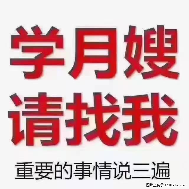 【招聘】月嫂,上海徐汇区 - 职场交流 - 内江生活社区 - 内江28生活网 scnj.28life.com