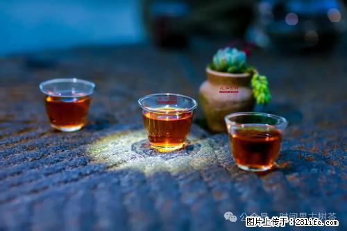 时间果百年古树2025年春红茶 - 购物交流 - 内江生活社区 - 内江28生活网 scnj.28life.com