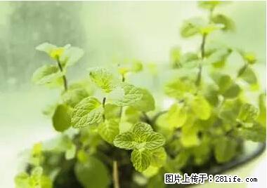 晕车、脚气、牙齿变黄、皮肤粗糙?学会这些三分钟搞定! - 内江生活资讯 - 内江28生活网 scnj.28life.com