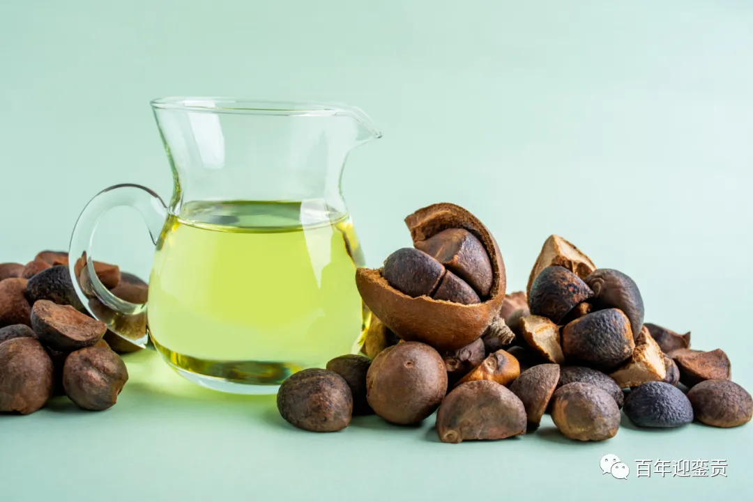 世界没有真相,只有认知,最好的食用油是中国的山茶油! - 内江生活资讯 - 内江28生活网 scnj.28life.com