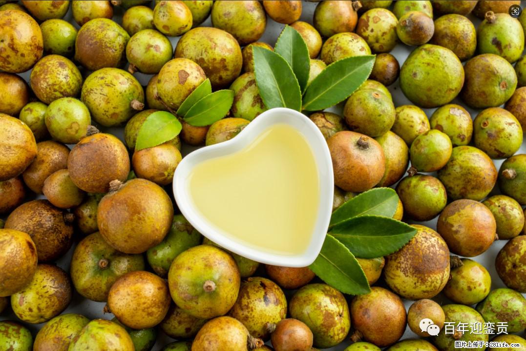 世界没有真相,只有认知,最好的食用油是中国的山茶油! - 内江生活资讯 - 内江28生活网 scnj.28life.com