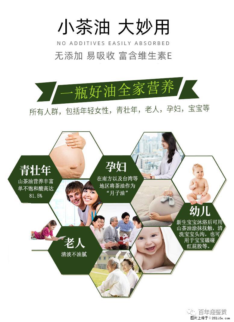 世界没有真相,只有认知,最好的食用油是中国的山茶油! - 内江生活资讯 - 内江28生活网 scnj.28life.com