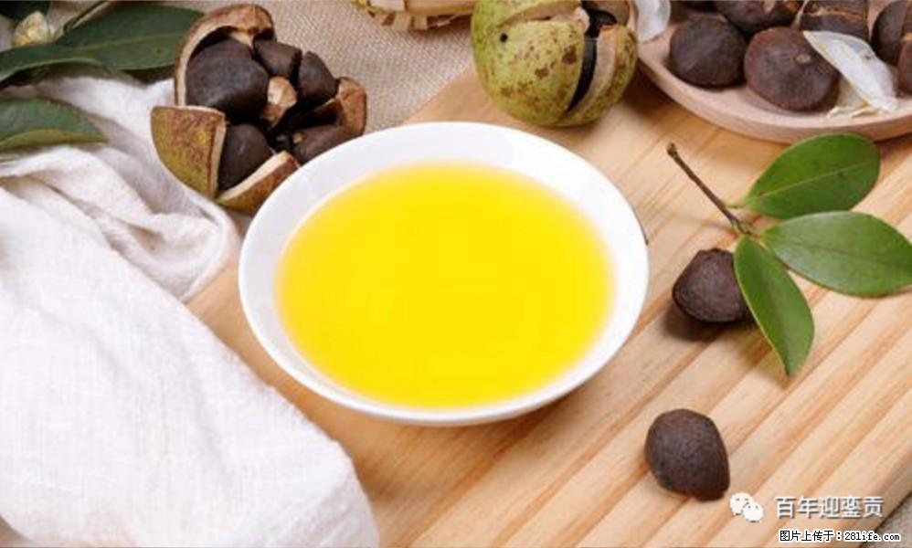 世界没有真相,只有认知,最好的食用油是中国的山茶油! - 内江生活资讯 - 内江28生活网 scnj.28life.com